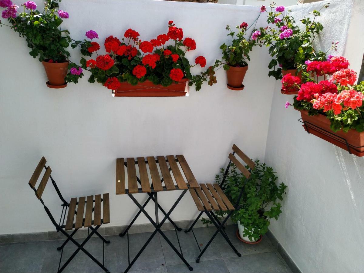 Apartamento Entero "El Casco Antiguo" Vt-46811-V ชาทีวา ภายนอก รูปภาพ